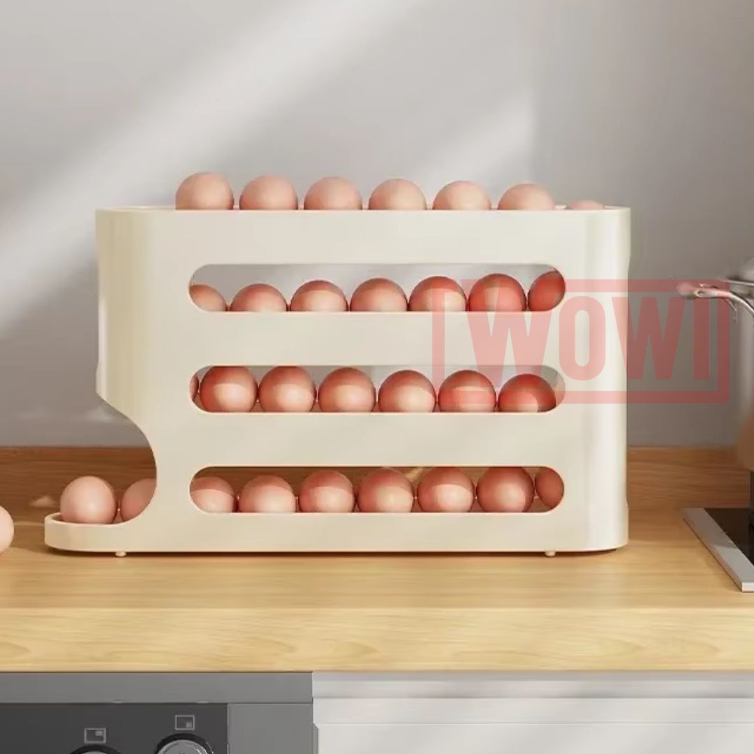 ORGANIZADOR PARA LOS HUEVOS