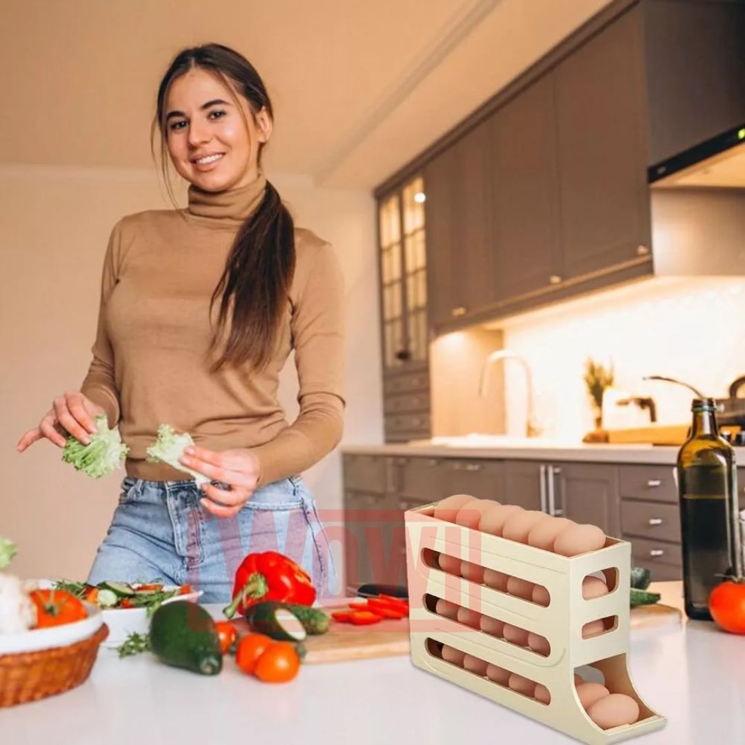 ORGANIZADOR PARA LOS HUEVOS