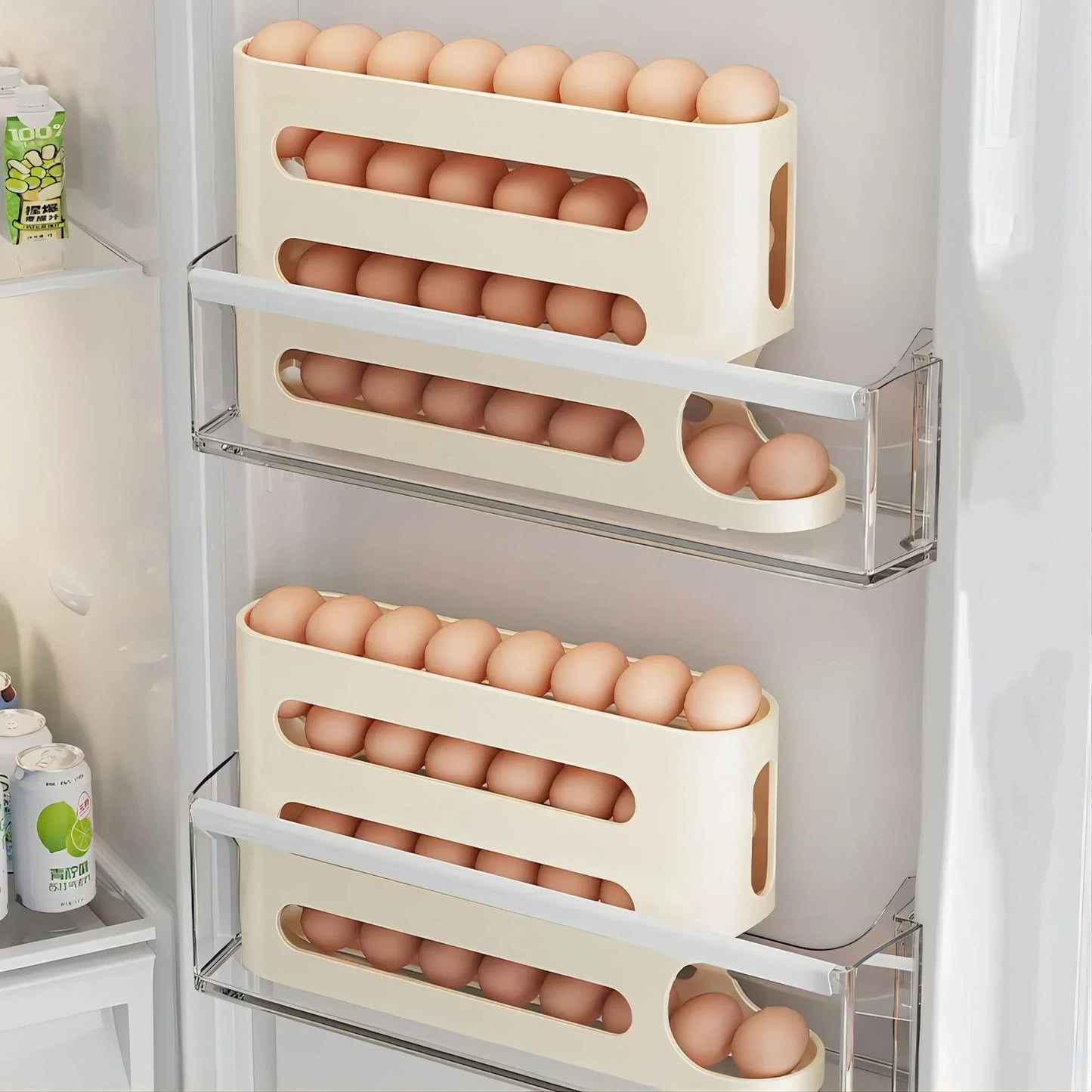 ORGANIZADOR PARA LOS HUEVOS