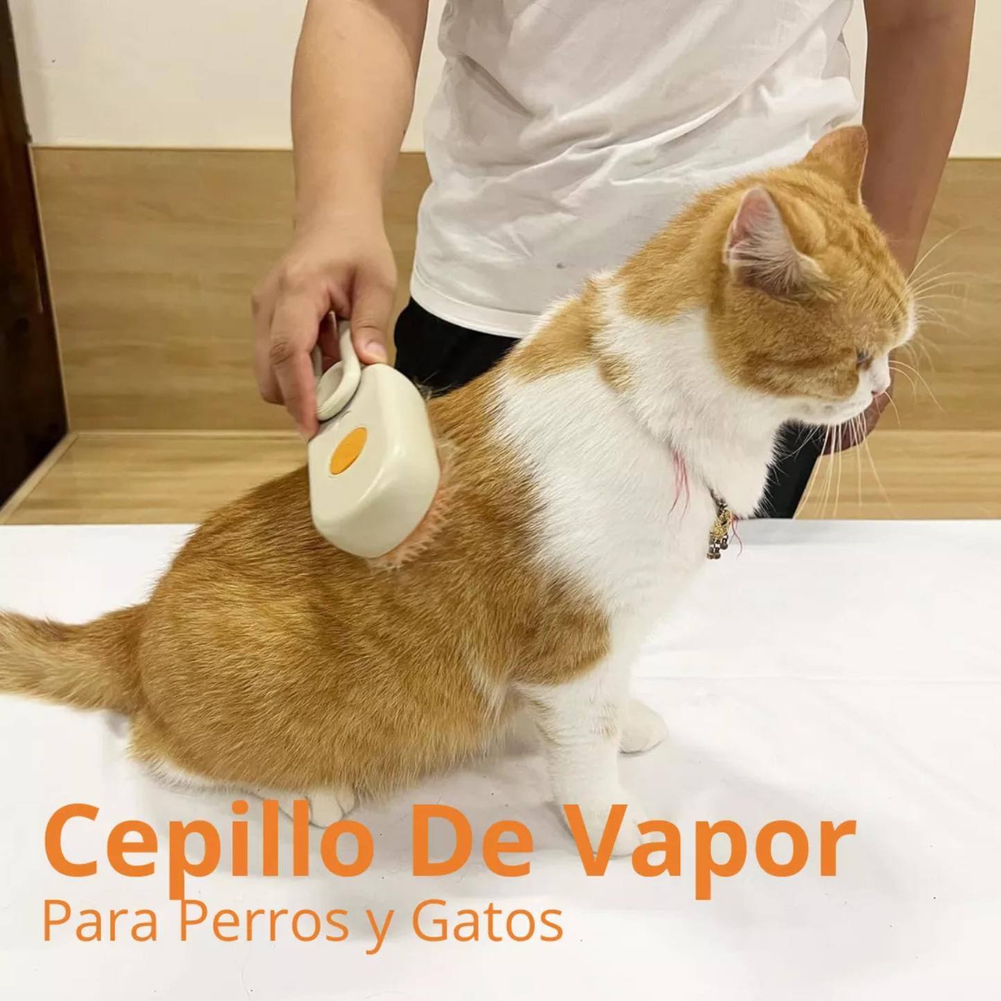 Cepillo Para Mascotas A Vapor  ! Recargable